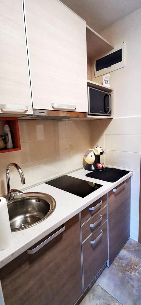 Apartman Nikolaj Apartment in Zlatibor