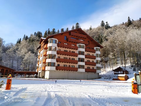 Property building, Winter