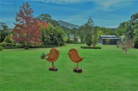 Garden, Garden, Garden view, wedding, wedding