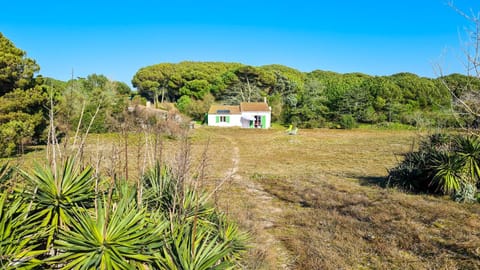 Natural landscape, Garden, Garden view