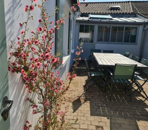 Patio, Dining area