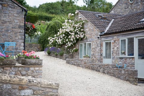 Property building, Facade/entrance, Spring, Day, Neighbourhood, Garden, Garden view