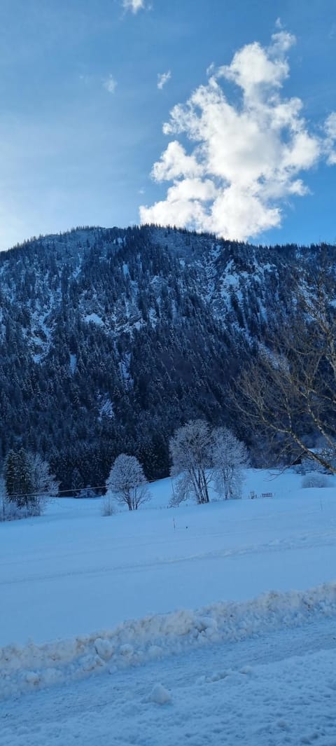 Nearby landmark, Winter