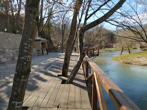Rzav, ti i ja. House in Zlatibor District, Serbia