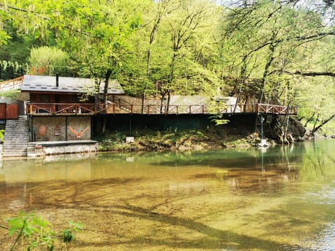 Rzav, ti i ja. House in Zlatibor District, Serbia