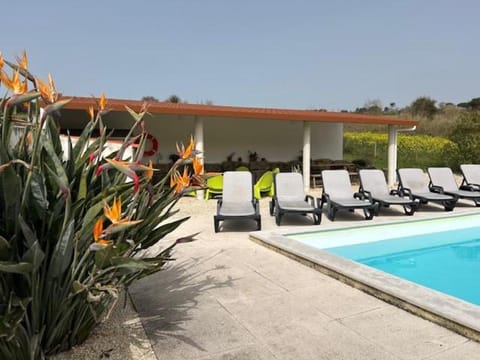 Garden view, Pool view, Swimming pool, sunbed