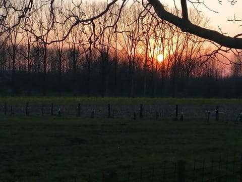 Natural landscape, Autumn, Sunset