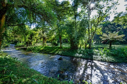 Natural landscape, Garden, Garden, Hiking