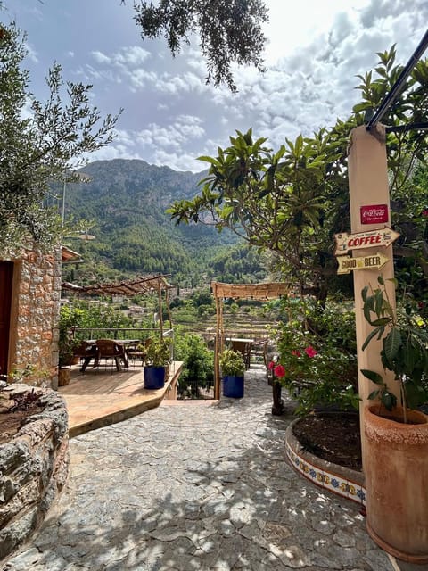 Garden, Mountain view