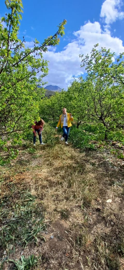 Scheepers Rust Guest Farmhouse Campground/ 
RV Resort in Western Cape