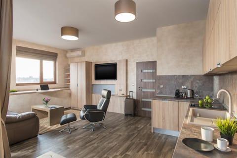 TV and multimedia, Coffee/tea facilities, Balcony/Terrace, Kitchen or kitchenette, Living room, City view, Mountain view