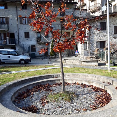 La Vecchia Funivia della Valmalenco Accogliente struttura nel cuore della Valmalenco Apartment in Chiesa In Valmalenco