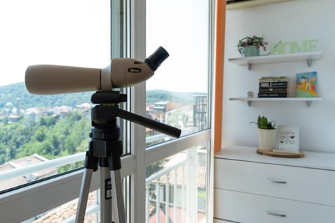 View (from property/room), Landmark view