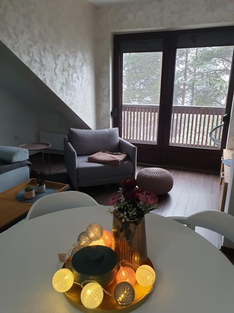 Apartman Lisica 24 Apartment in Zlatibor District, Serbia