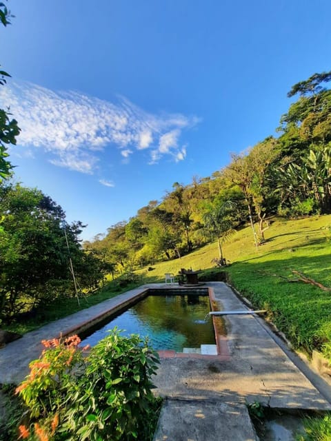 Natural landscape, Garden, Pool view, Swimming pool
