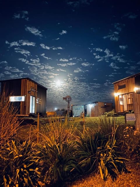 Night, Garden, Garden view