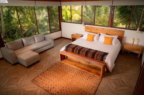 Bed, Photo of the whole room