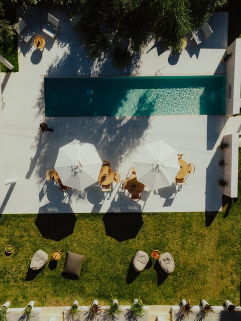 Patio, Day, Garden, Garden view, sunbed