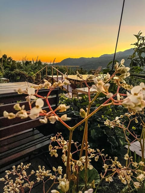 Natural landscape, Mountain view, Sunrise, Sunset
