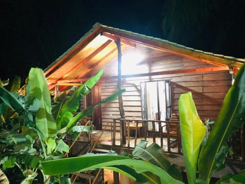 Patio, Night, Garden, Garden view