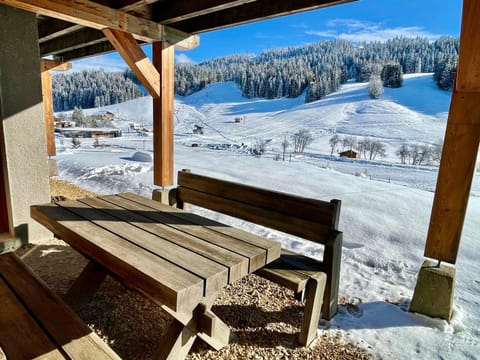 Patio, Winter, Ski School, Skiing, Mountain view