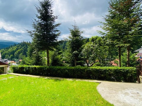 Natural landscape, Garden, Mountain view