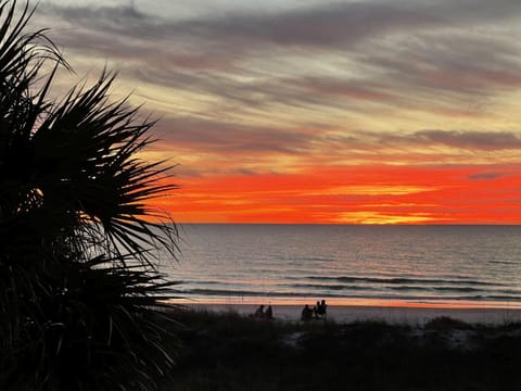 Seaclusion Beach Townhome House in North Redington Beach