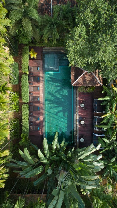 Day, Bird's eye view, Garden view, Pool view, Swimming pool