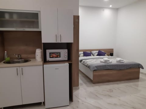 Villa Anela Apartment in Novi Sad