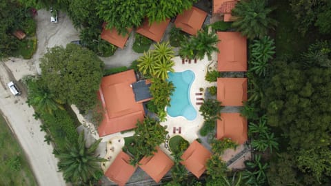 Property building, Natural landscape, Pool view, Swimming pool
