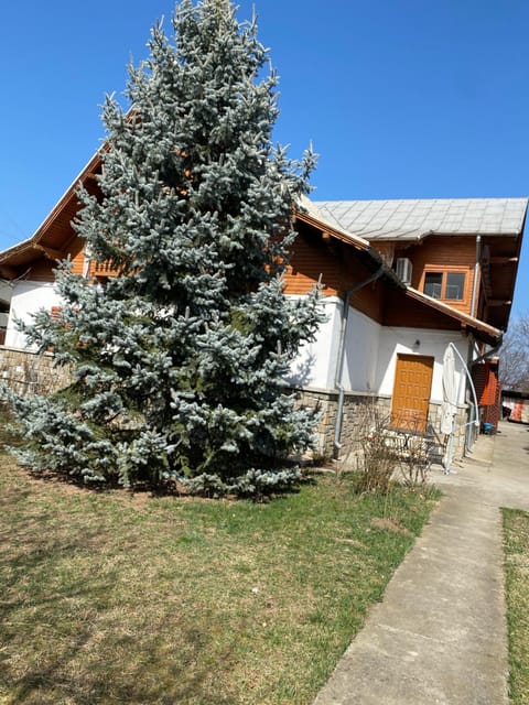 Property building, Spring, Day, Garden, Garden view