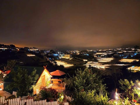 Property building, Night, City view
