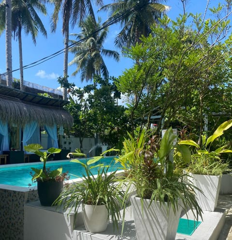 Day, Garden, Garden view, Pool view, Swimming pool, sunbed