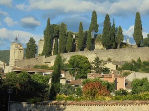 Maison Chaberlin House in Malaucène