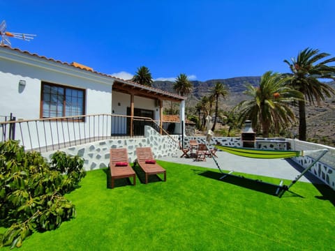 Property building, Garden, sunbed