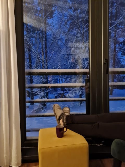 Apartman Djurdja Apartment in Zlatibor District, Serbia