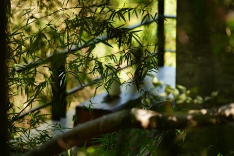 Annie Meen's place Koh Yao Noi Bed and Breakfast in Krabi Changwat