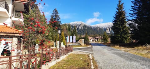 Property building, Canoeing, Hiking