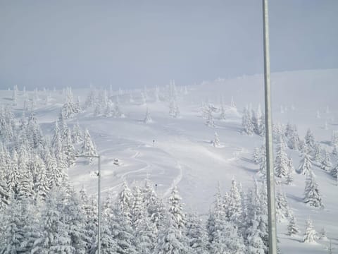 Natural landscape, Winter