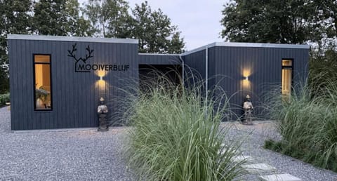 Property building, Day
