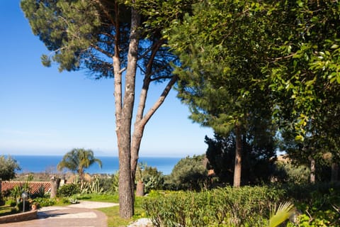 Garden, Garden view