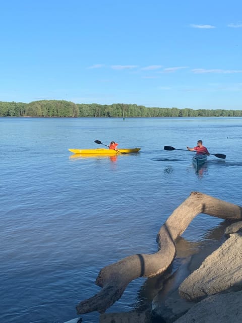 Mississippi River Cabin Cabin in Bellevue