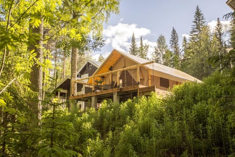 Balcony/Terrace, Entertainment