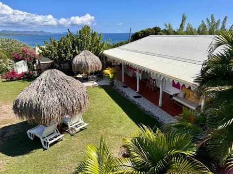 Property building, Garden, Garden, Garden view