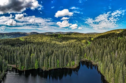 Haus Findling, 10 Personen, Schluchsee, Hochschwarzwaldkarte House in Schluchsee