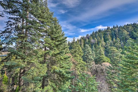 Lake Arrowhead Cabin with Deck and Stunning Mtn Views! Cabin in Lake Arrowhead