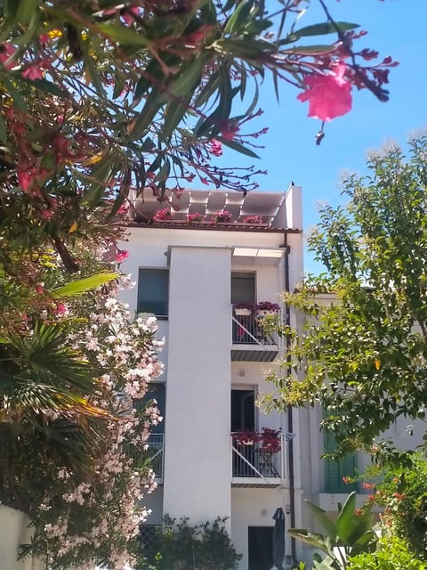 B&B PREVISTO SOLE Bed and Breakfast in Civitanova Marche