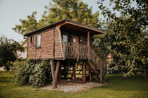 Property building, Day, Natural landscape, Garden view