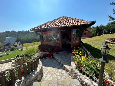 Vila Zorica Vodice Apartment in Zlatibor District, Serbia