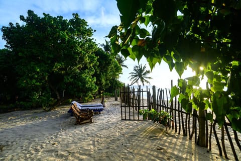 Garden, Beach, Beach, Sea view, sunbed